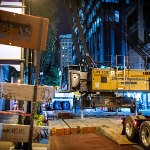 Sautter Crane Image - 11-Chestnut LR1300 (1 of 10)