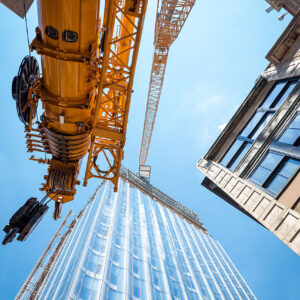 Sautter Crane Image - 11-Chestnut LR1300 (8 of 10)