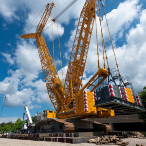 Sautter Crane Image - Villanova 2022 (1 of 8)